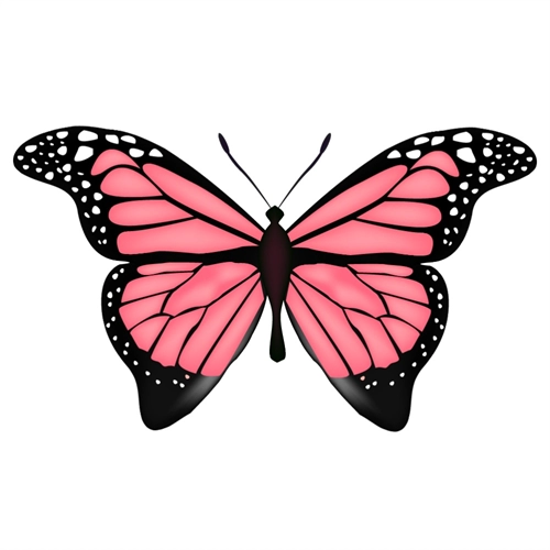 Butterfly Theme Pink And Black Butterfly Transparent Sticker Large